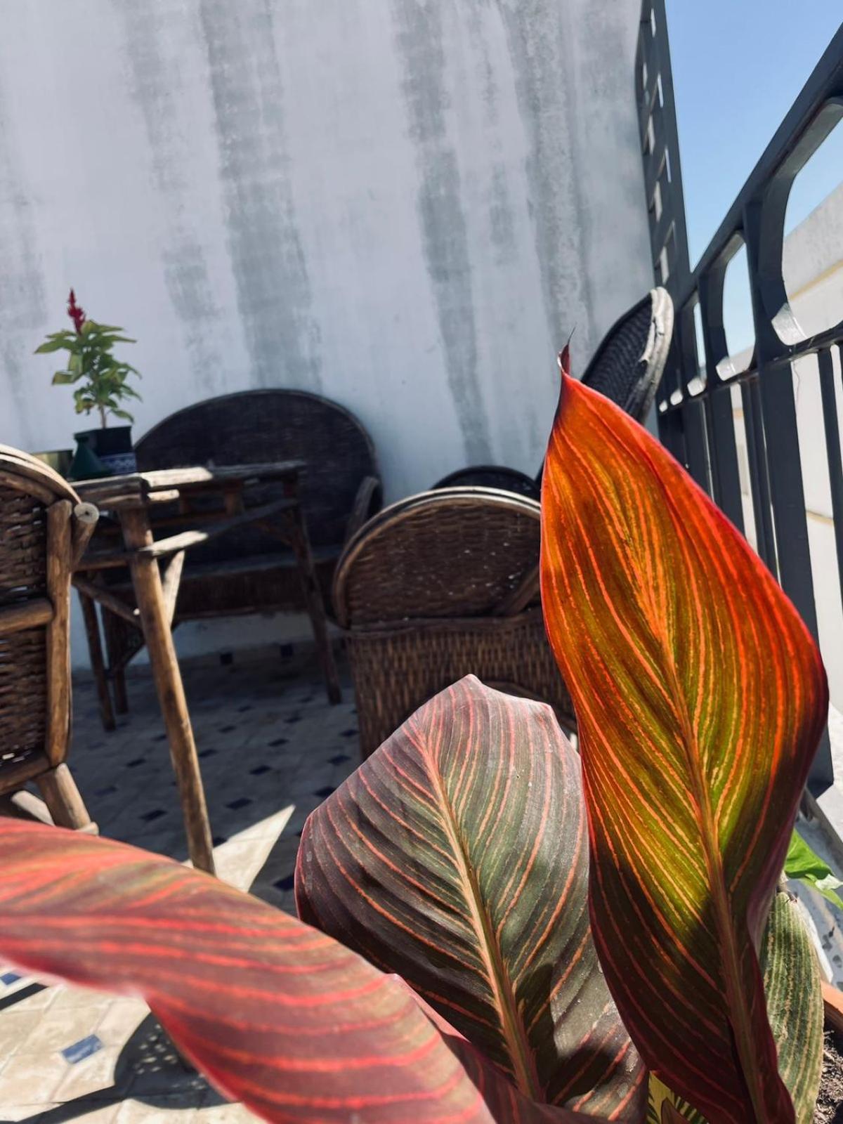 Kasbah's Road Art House Holiday home *